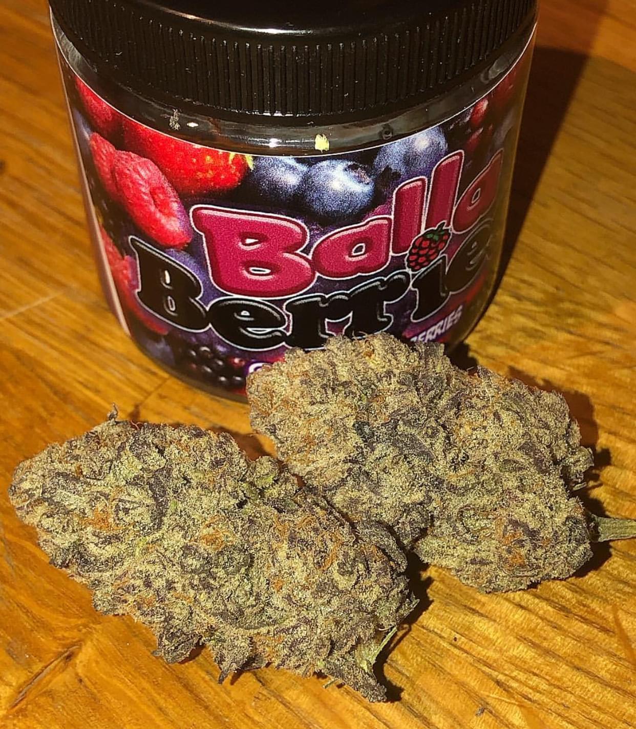 Buy Balla Berrie cookies online Germany, 420 mail order Germany, 420 weed delivery in Münster, Buy cannabis seeds online Karlsruhe,Buy Cannabis flowers Bonn